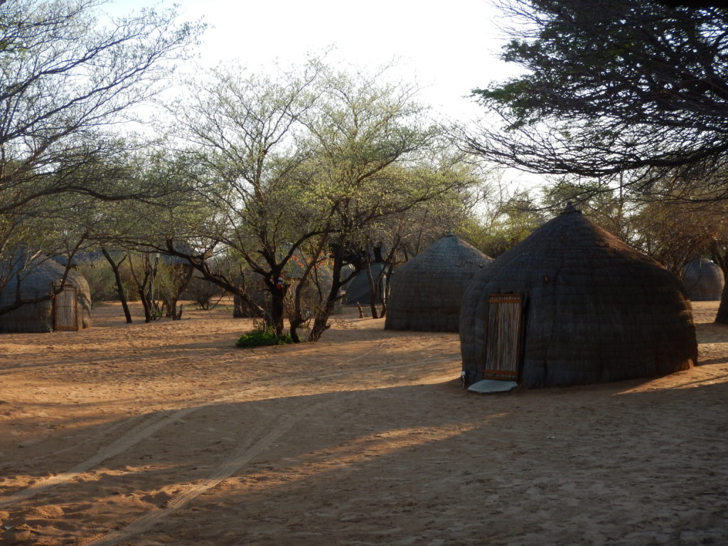 Traditional Bushman grass huts 