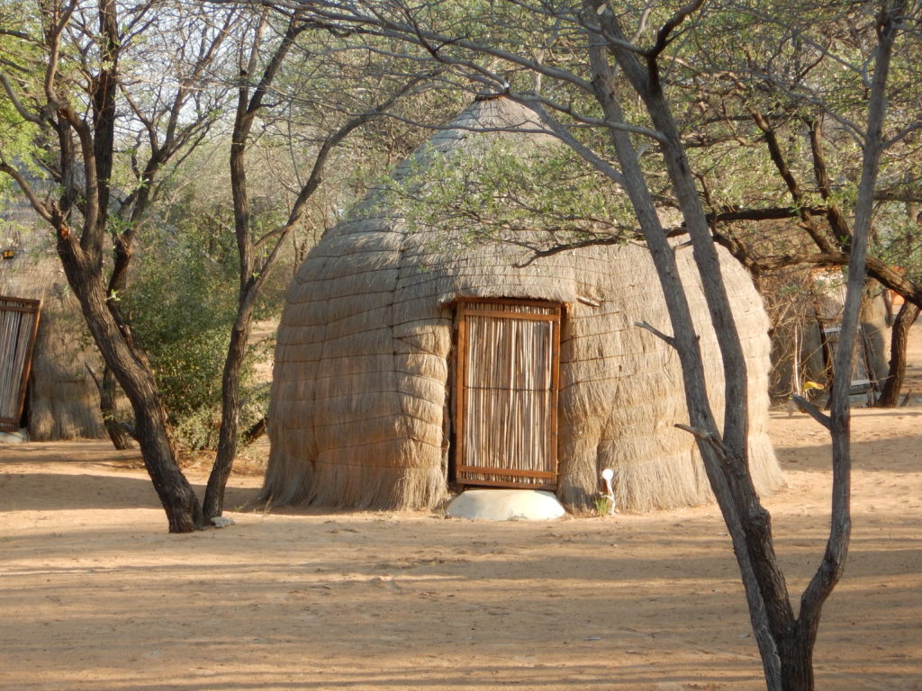 A traditional Bushman grass hut, round with a pointed roof. The hut is framed in the photo by a tree to the left and a tree in the right foreground.