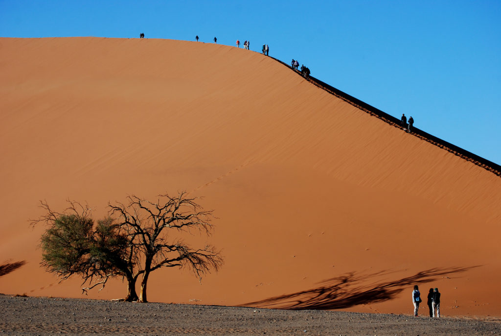 Climbers atop Dune 45 in Namibia. In the lower left, a tree casts a shadow.