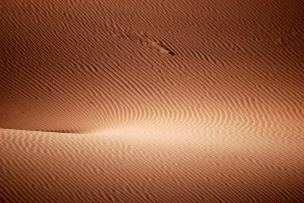Sand ripples on the side of the dune.